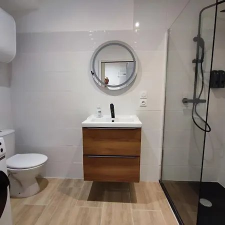 Apartament Jardin Entre Cite Et Bastide