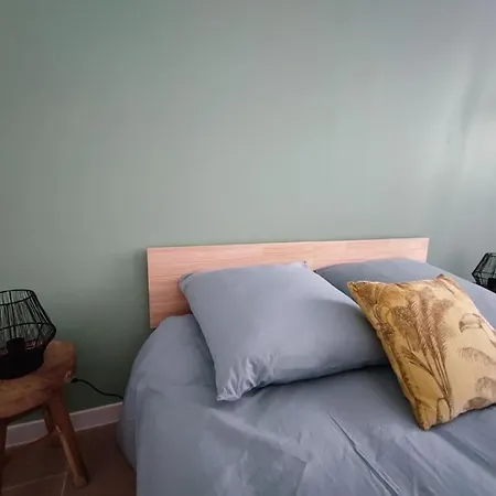 Apartament Jardin Entre Cite Et Bastide