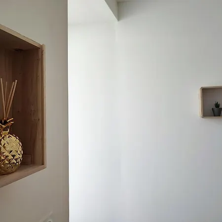 Jardin Entre Cite Et Bastide Carcassonne